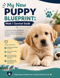 My New Puppy Blueprint: Week 1 Survival Guide