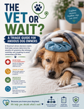 The Vet or Wait? A Triage Guide for Anxious Dog Owners